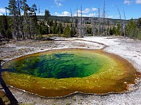 Yellowstone Morning glory pool (1).JPG